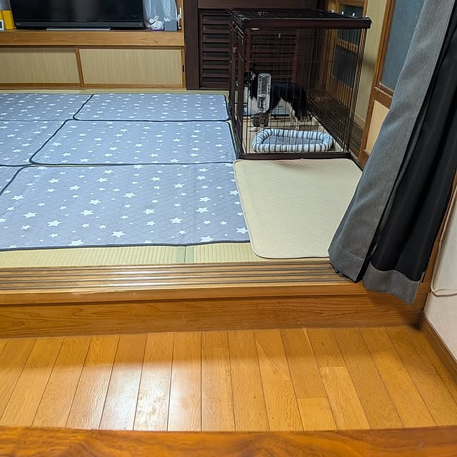 kuririnmamaさんの部屋
