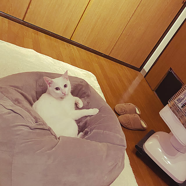 SAKUMAさんの実例写真