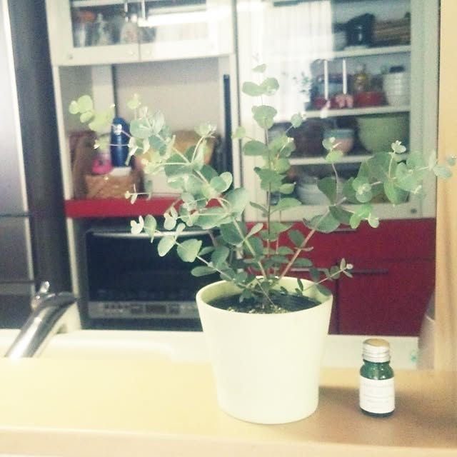 yukaさんの実例写真