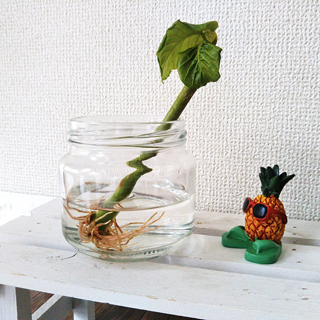 chikoさんの実例写真