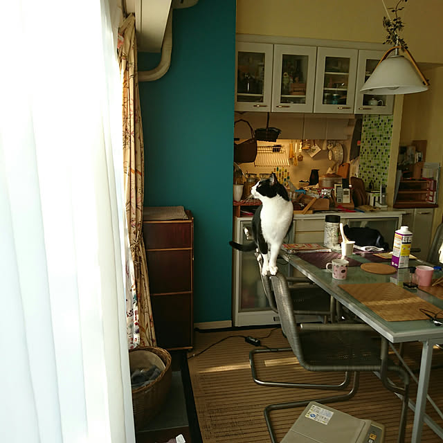 okyosan101さんの実例写真