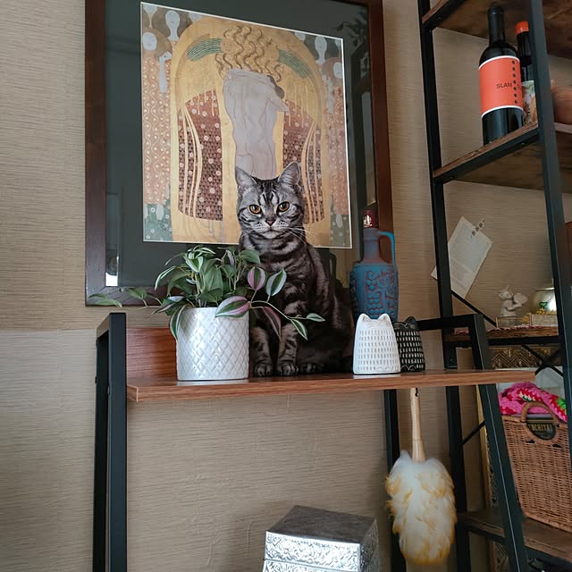 Yoko622さんの実例写真