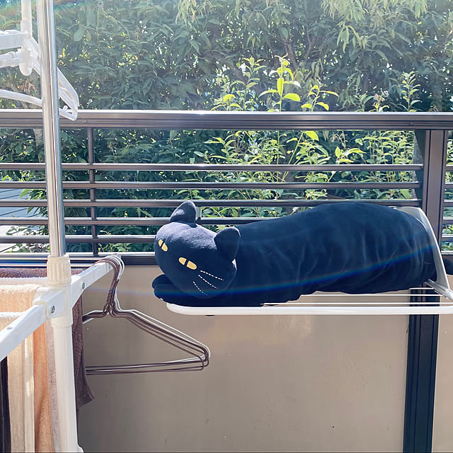 sasanokoさんの実例写真
