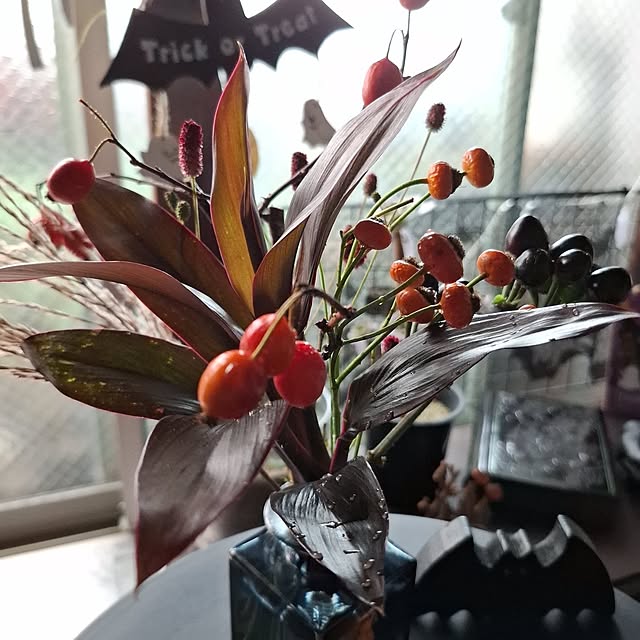 noaさんの実例写真