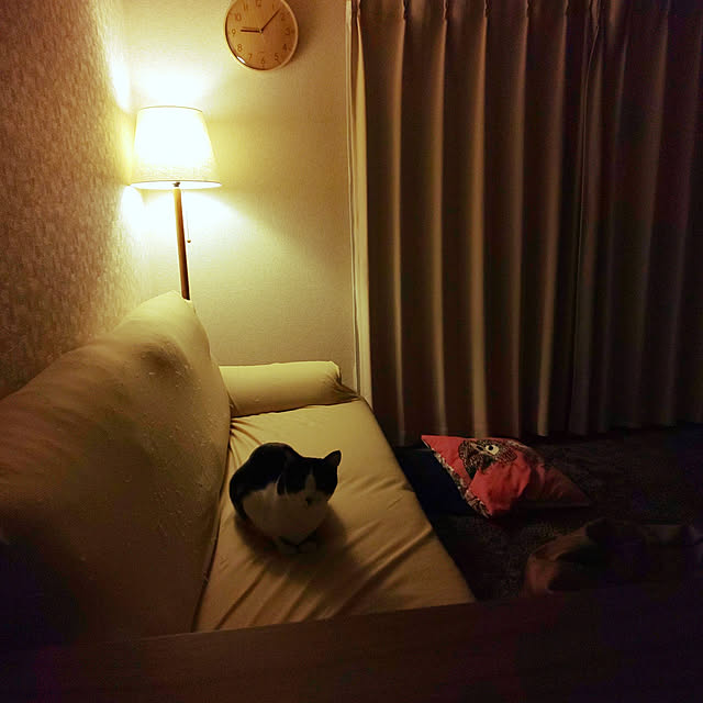 oseroさんの実例写真