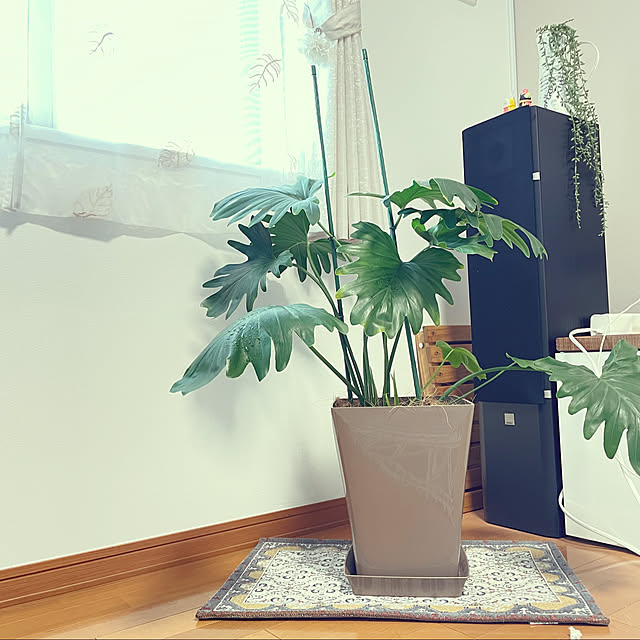 naturalさんの実例写真