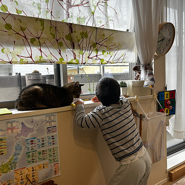 mikomaruさんの部屋