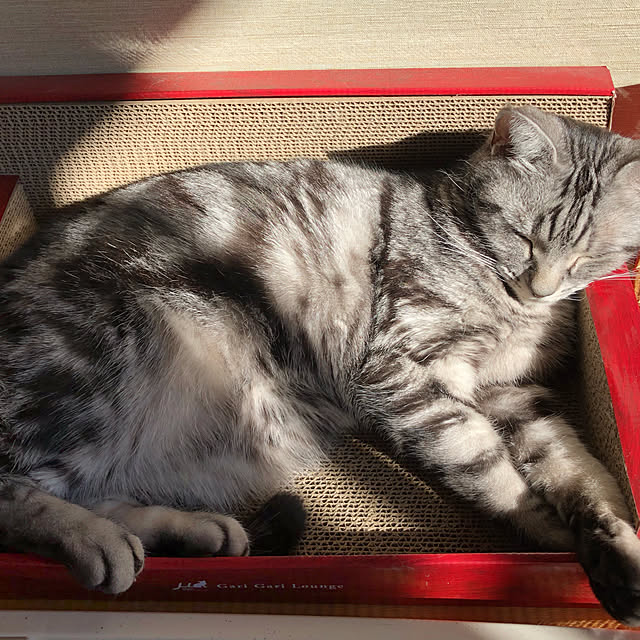 rurimokaさんの実例写真