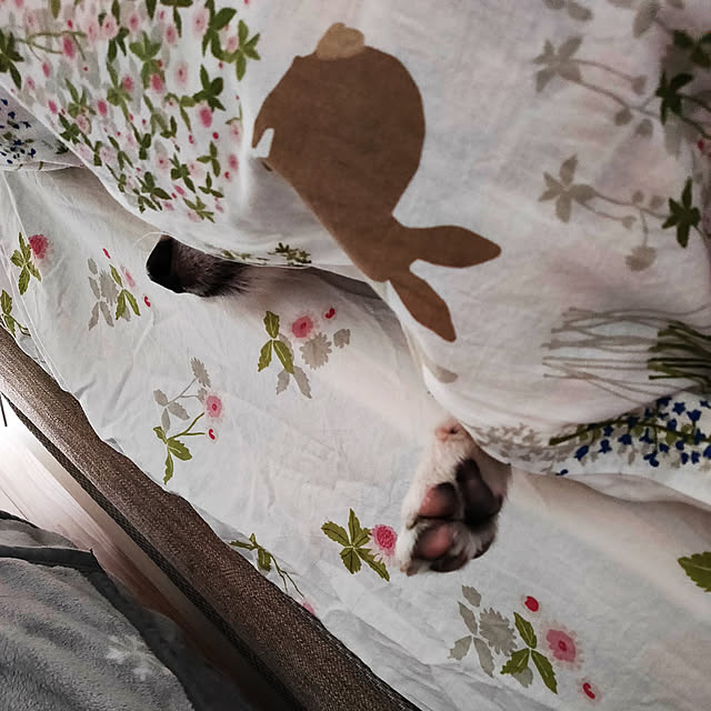 marosukeさんの実例写真