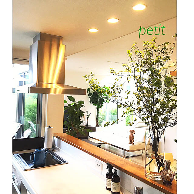 petitさんの実例写真