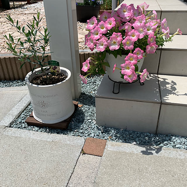ROSEさんの実例写真