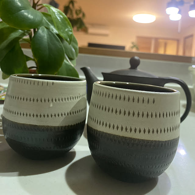 キッチン/目の保養/美濃焼き/小石原焼き/お気に入りの器...などのインテリア実例 - 2025-03-08 08:53:07