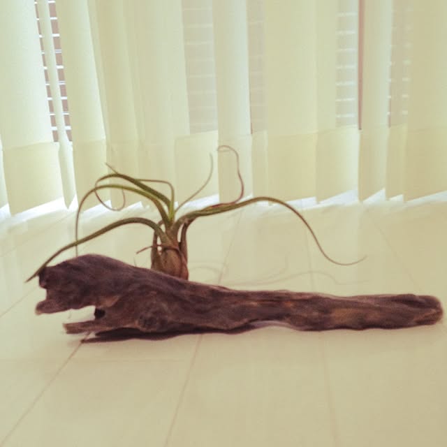 sushitabetai123さんの実例写真