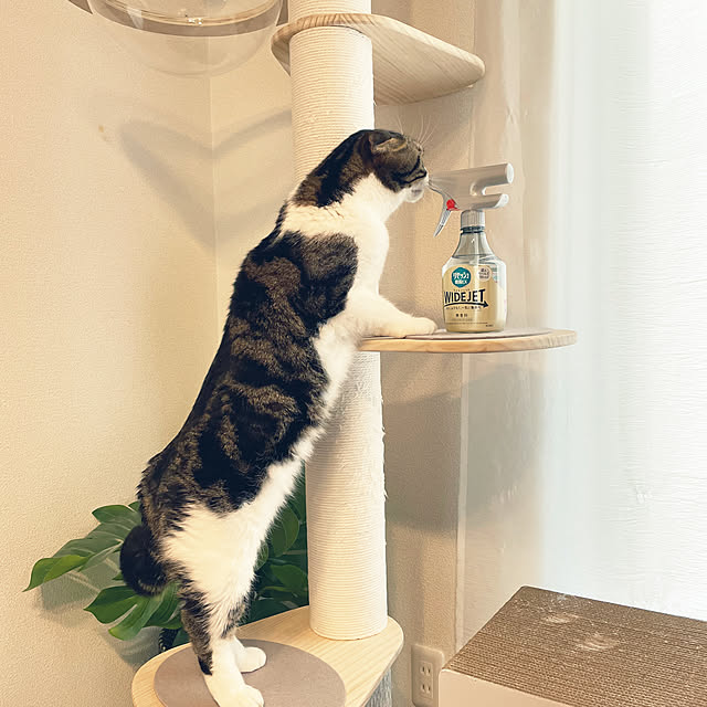 tansukeさんの部屋