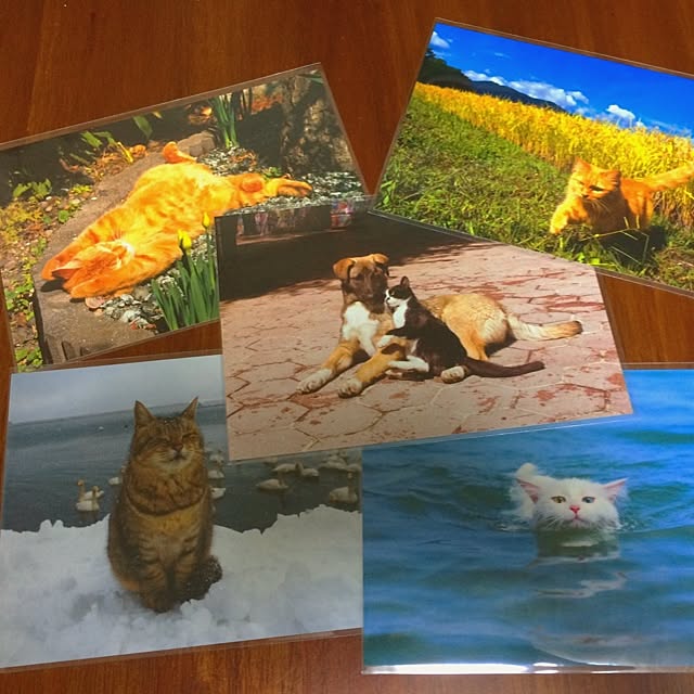 mucc08さんの実例写真