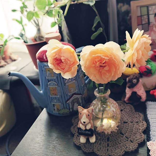 kiraさんの部屋