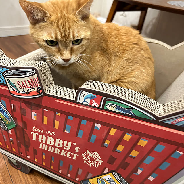 mikeume7さんの部屋