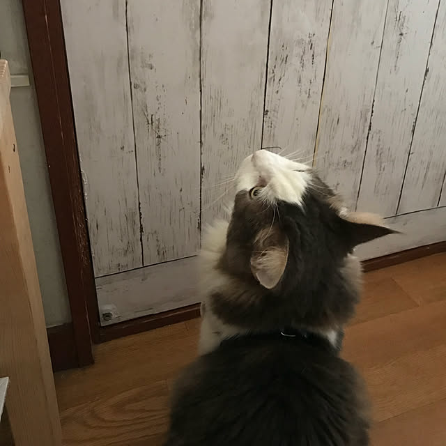 masakoさんの実例写真