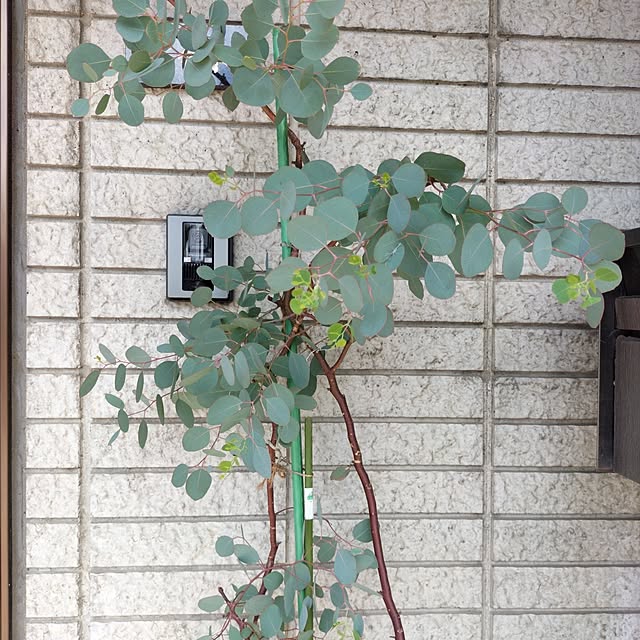 pua.dekoさんの部屋