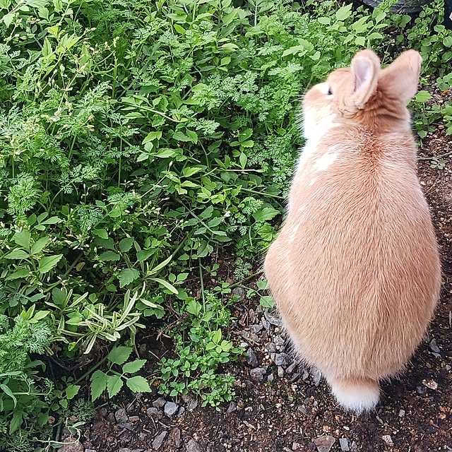 aiさんの部屋
