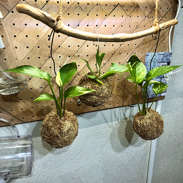 CoffeeHouseさんの実例写真