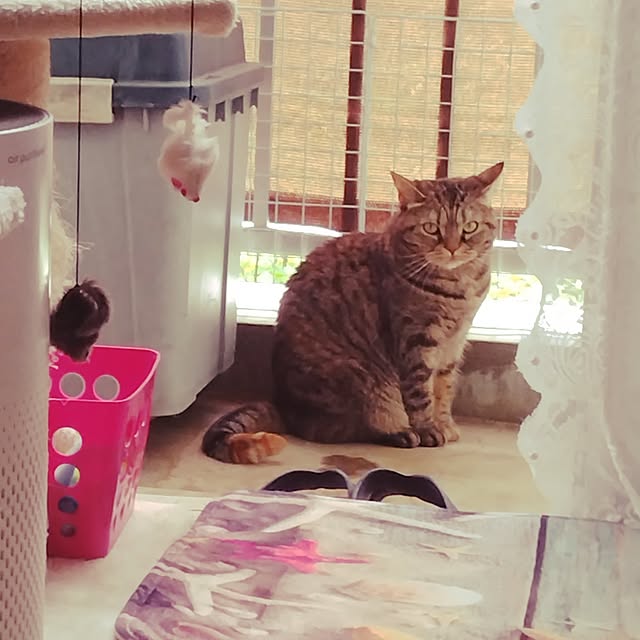 runaさんの部屋