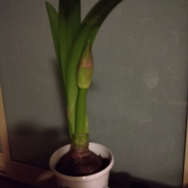 guiさんの部屋