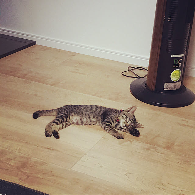 mkcさんの実例写真
