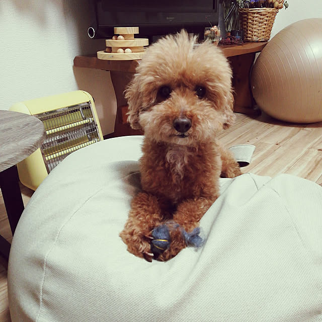 santamamaさんの実例写真