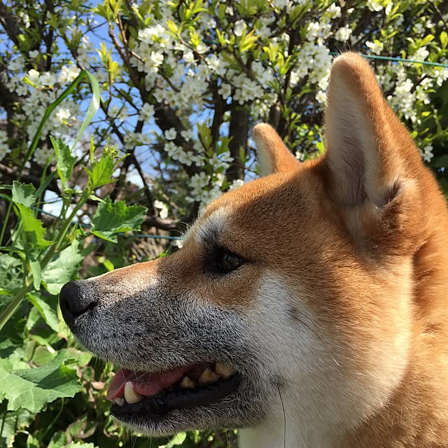 kotaさんの実例写真