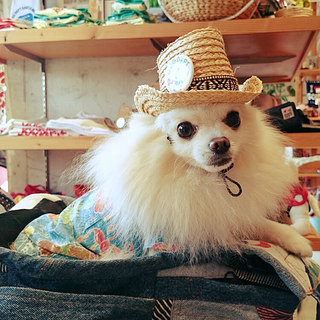 yukaさんの実例写真