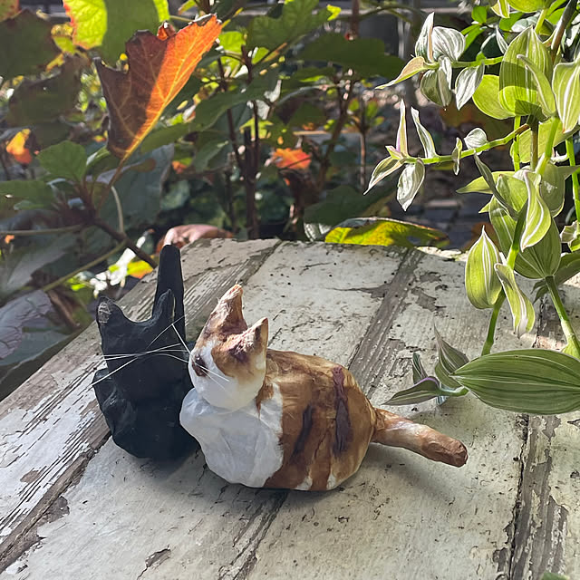 nobikoさんの部屋