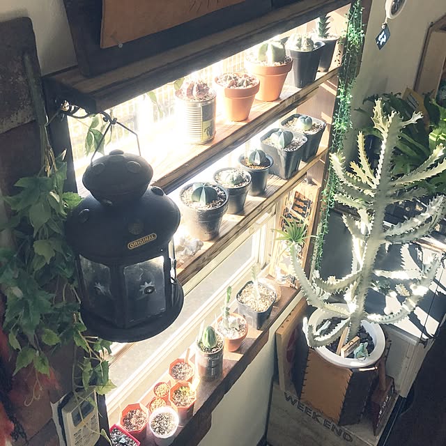 amさんの実例写真