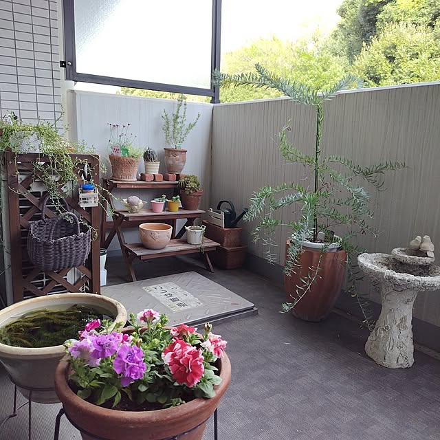 miumiuさんの実例写真