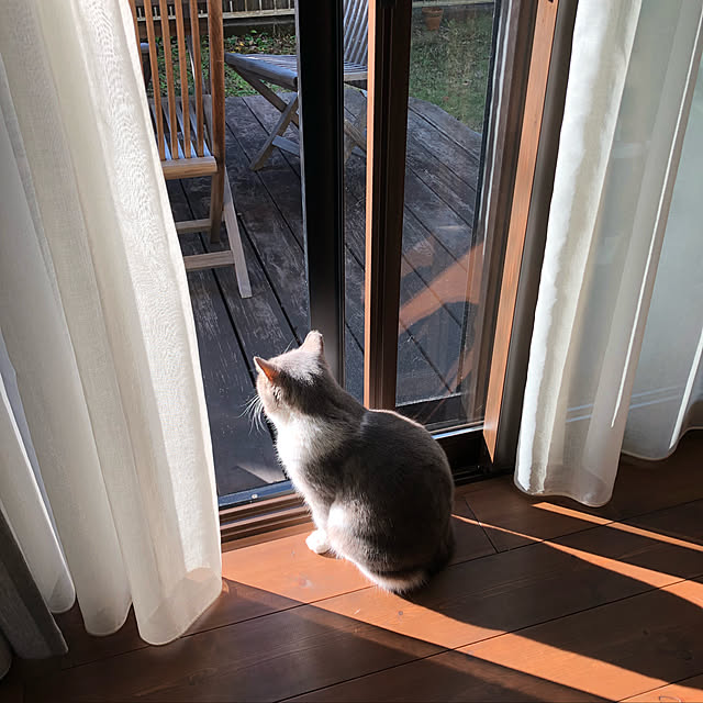 natsumama6566さんの実例写真