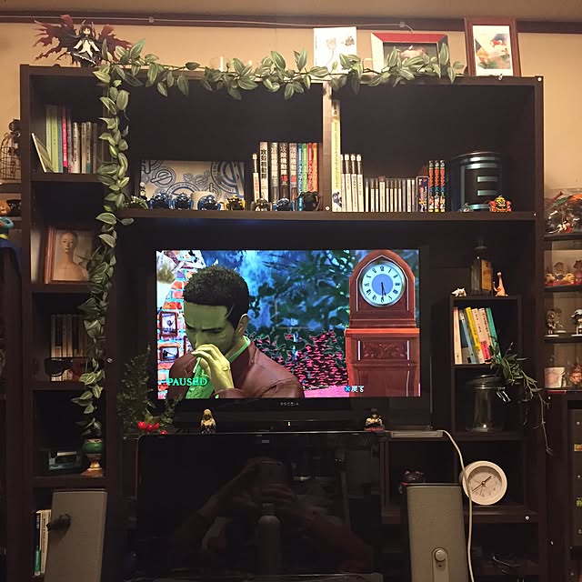 vava516さんの実例写真