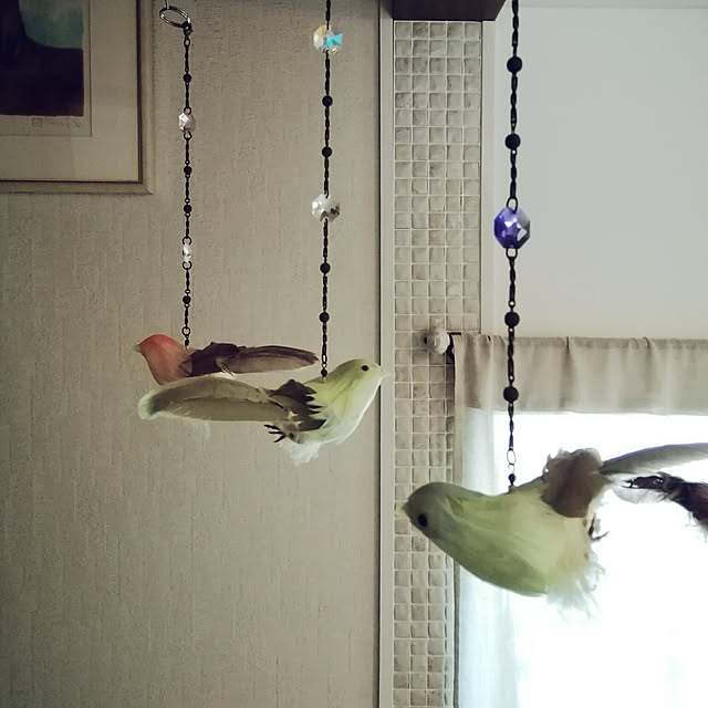naive.coccoさんの実例写真