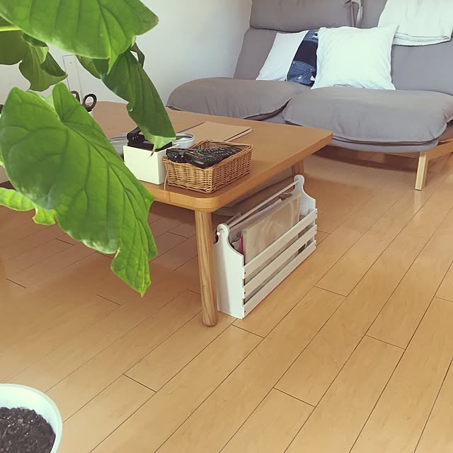 Kaneyukiさんの実例写真