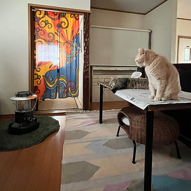 mikan161さんの実例写真