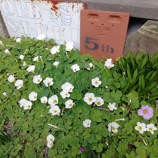 haruiroさんの部屋