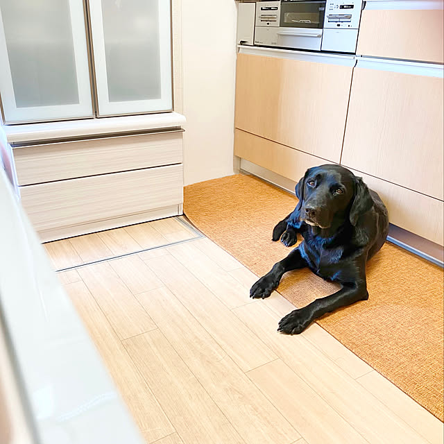 minu5656さんの実例写真