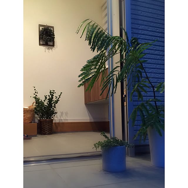shinoさんの実例写真
