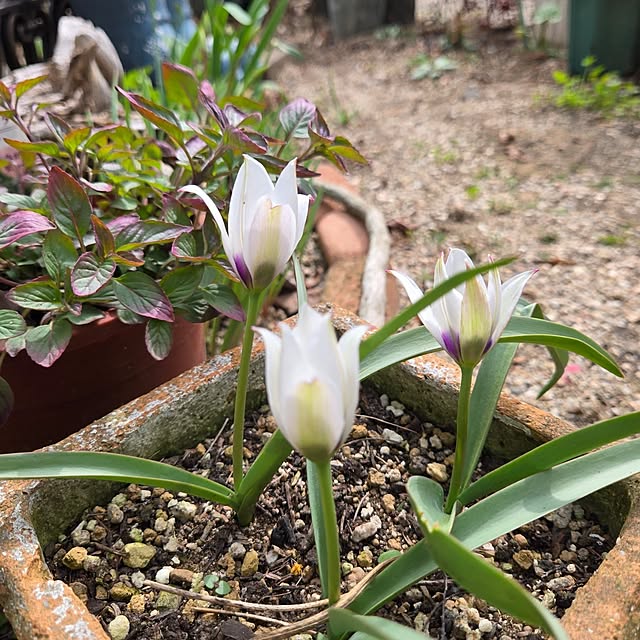 min_nimさんの部屋