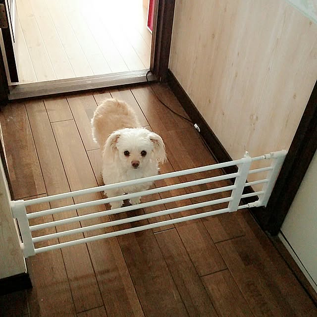 merokoさんの実例写真