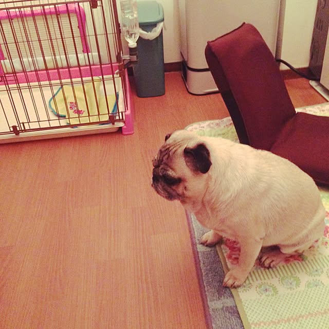 suguruさんの実例写真