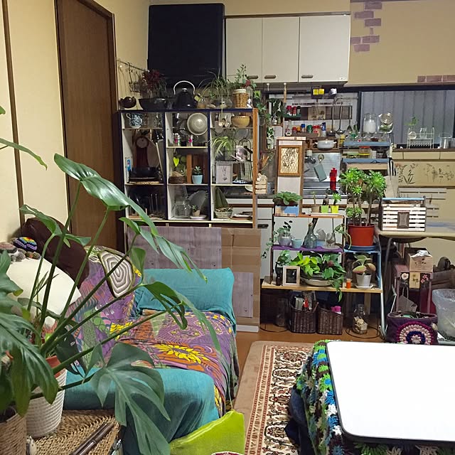 Norikoさんの実例写真