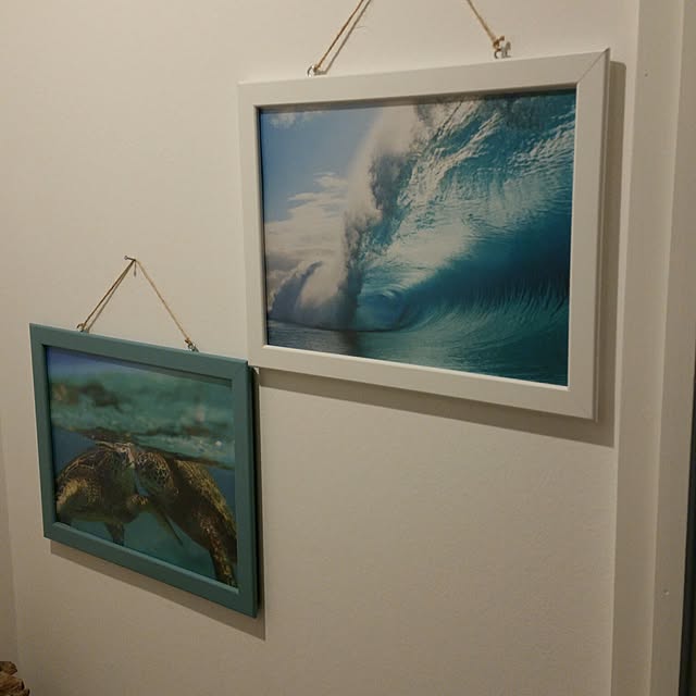 kochiouraneriさんの実例写真