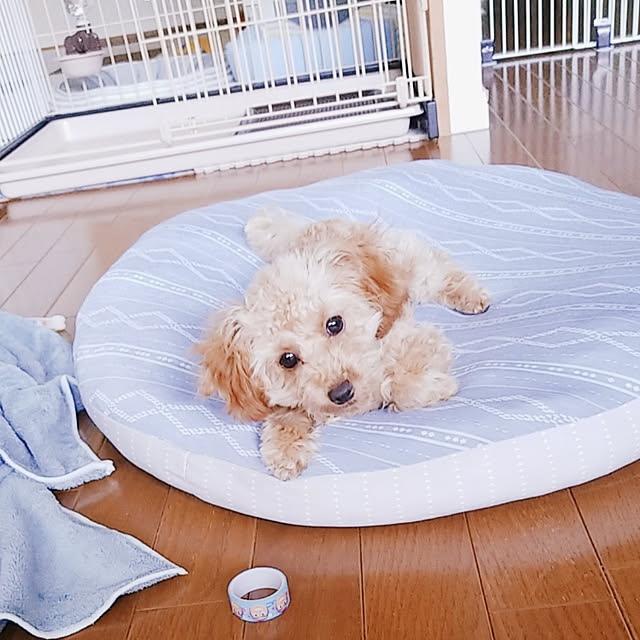 comameさんの実例写真