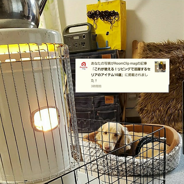 ciiiさんの実例写真
