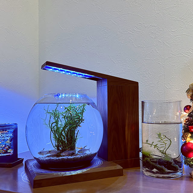 SS1978さんの部屋